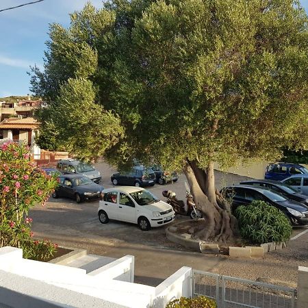 B&B Unique Art Santa Teresa Gallura Ngoại thất bức ảnh
