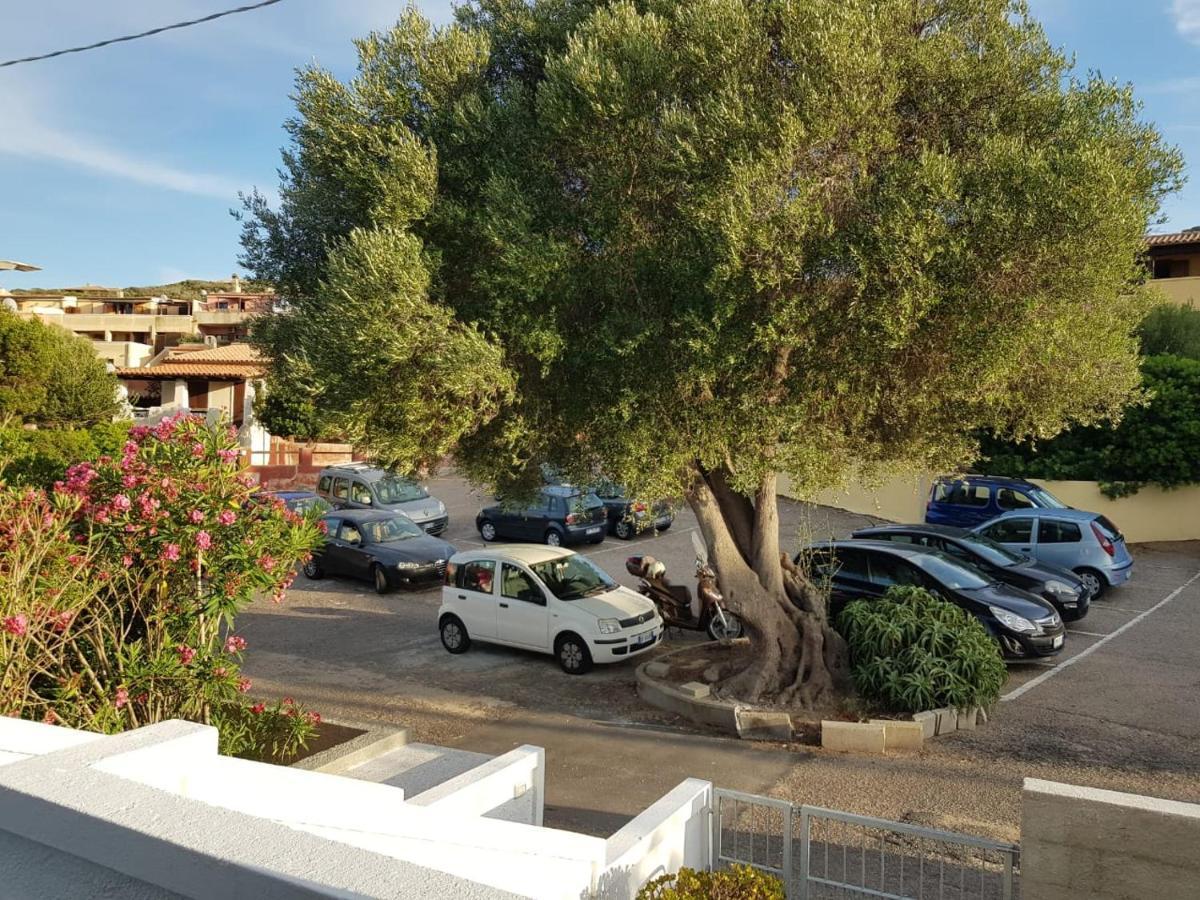B&B Unique Art Santa Teresa Gallura Ngoại thất bức ảnh