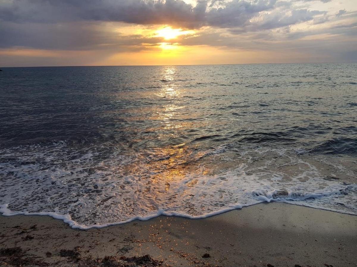 B&B Unique Art Santa Teresa Gallura Ngoại thất bức ảnh